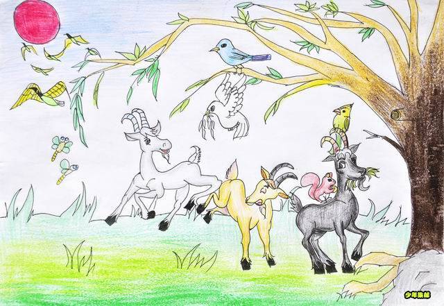 调整大小 17孙蓓宁.jpg