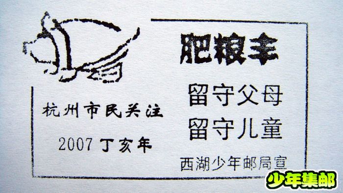 猪年.jpg