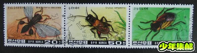 朝鲜93昆虫（3）.jpg