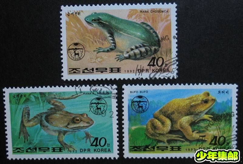 朝鲜92青蛙（3）.jpg