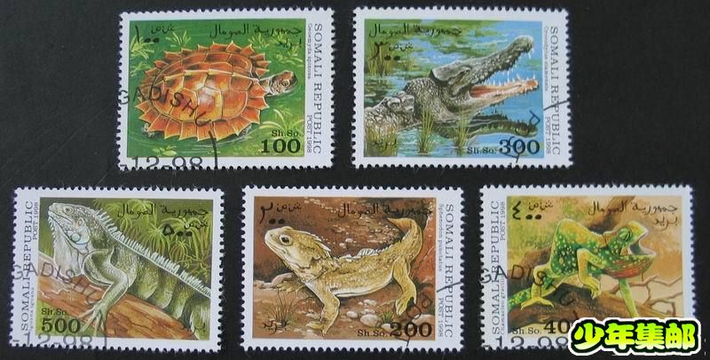 索马里两栖动物（5）.jpg