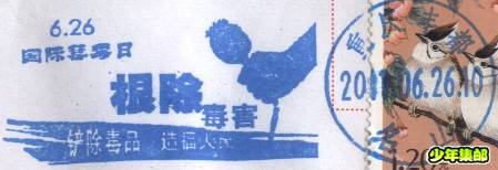 5.jpg